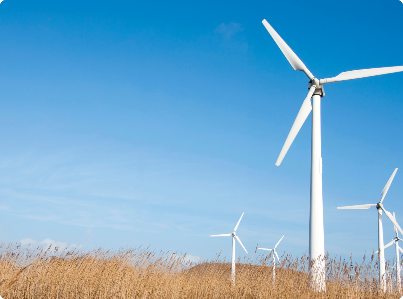 Renewable Energy